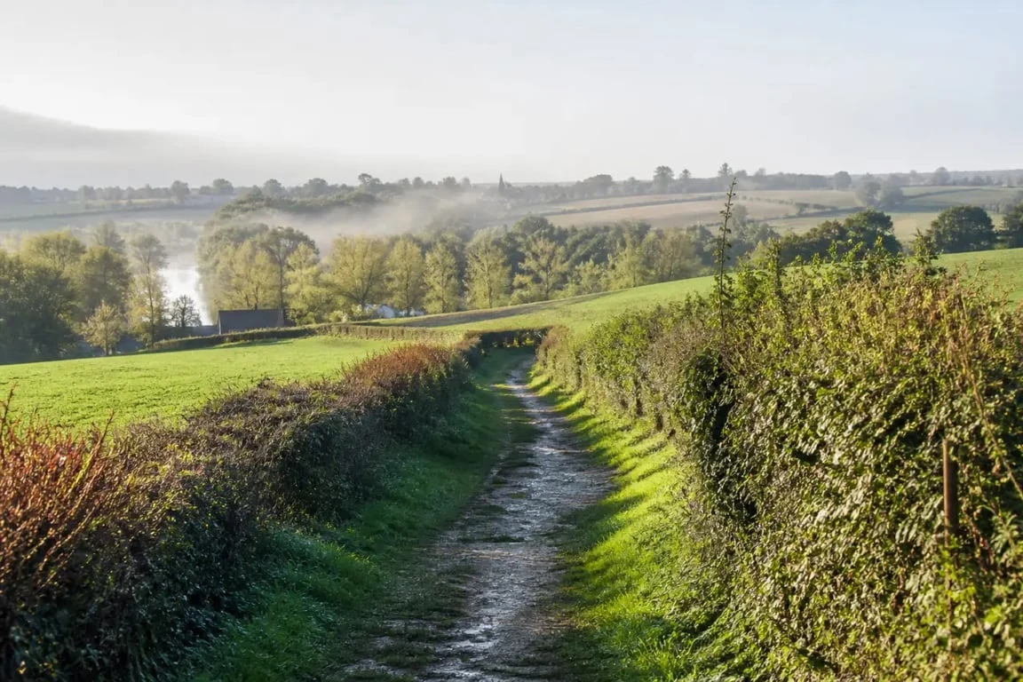 Randonnée de la Grimaudière dans le bocage de la Vienne, sentier rural et rivière Dive