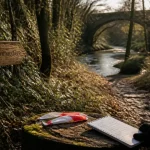 Randonnée de la grimaudière : sentier et rivière Dive