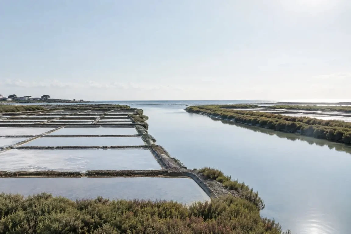 Marais salants et paysages naturels de la côte vendéenne